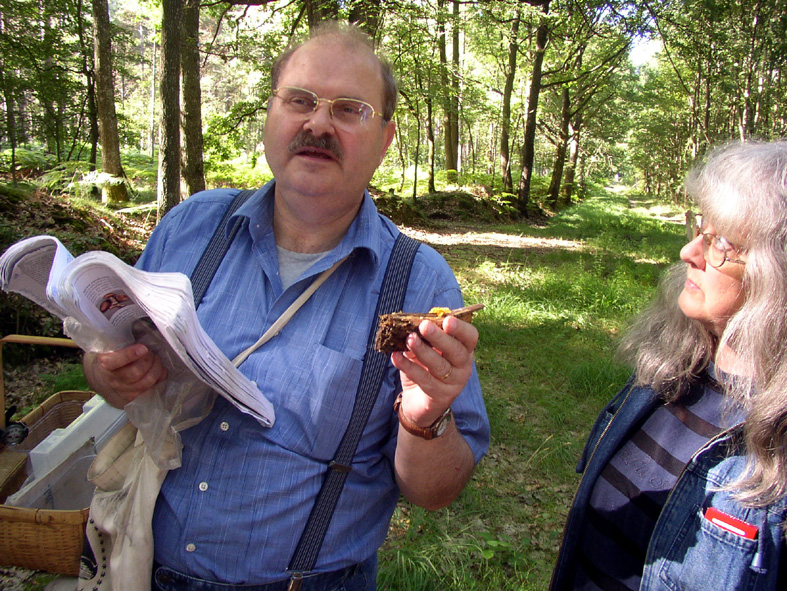 2009 07 Myco Gros taillis 17